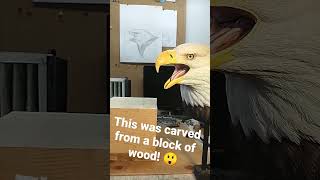 This Bald Eagle head was carved from a block of wood!