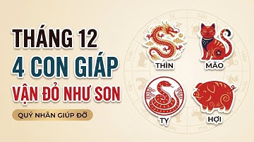 4 Con Giáp Vận Đỏ Như Son Tháng 12: Quý Nhân Giúp Đỡ, Không Thiếu Tiền