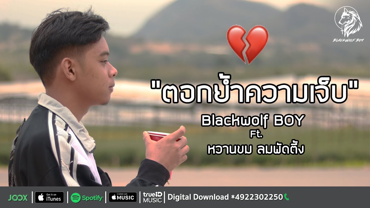 Blackwolf BOY - ตอกย้ำความเจ็บ Ft.หวานขม ลมพัดตึ้ง [Official Audio]