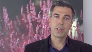 Acute Pain Management In Older People