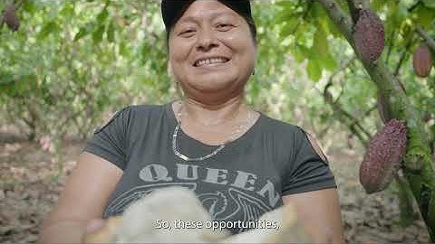 Changing Lives & Landscapes: Colombia’s Sustainable Cacao Story