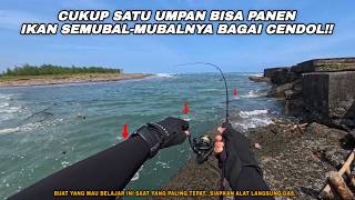 DON'T WASTE THIS MOMENT, THE FISH ARE EVERYWHERE!! Fishing for baby GT using micro jigs and soft ... screenshot 5