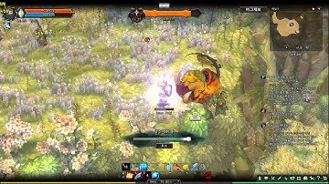Tree of Savior CTB2 Play Cryomancer06
