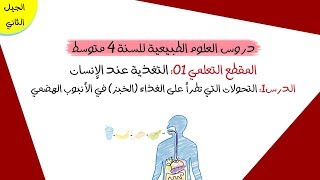 الدرس1: التحولات التي تطرأ على الغذاء (الخبز) في الأنبوب الهضمي | رابعة متوسط