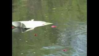Bio urn shown in a water burial ceremony... it is a biodegradable cremation urn