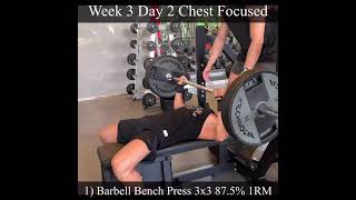 8 Weeks Muscle & Strength Full Body Program -Block 1 Week 3 Day 2 Chest Focused Net Worth