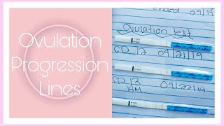 OVULATION TEST PROGRESSION LINES + BASIC INFO| CYCLE #3 UPDATE|
