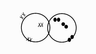 Chemical Bonding looks at the double covalent bond forming in Oxygen.