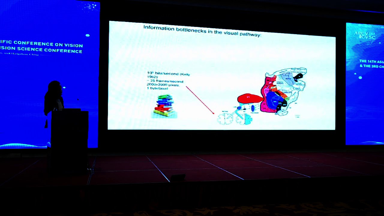 A new path to understanding vision from the perspective of the primary visual cortex