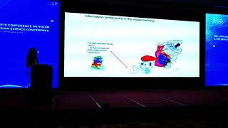 A new path to understanding vision from the perspective of the primary visual cortex What Does The Primary Visual Cortex V1 Do Prof Li Zhaoping