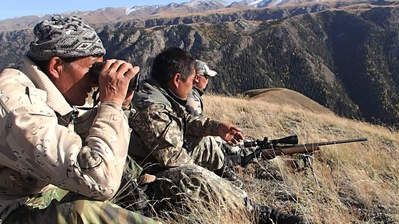 Охота на марала