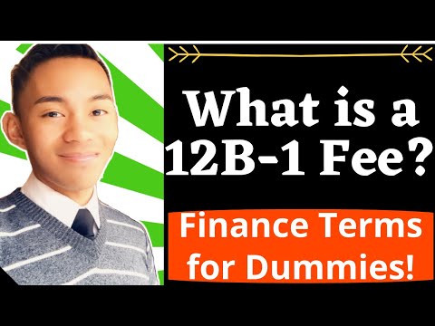 What is a 12B-1 Fee? - Financial Terminology for Dummies!