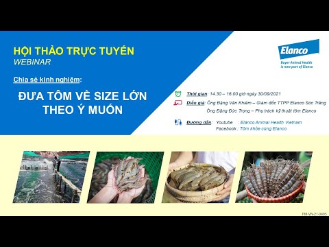 [Chia sẻ kinh nghiệm] GIẢI PHÁP ĐƯA TÔM VỀ SIZE LỚN THEO Ý MUỐN | ELANCO VIỆT NAM