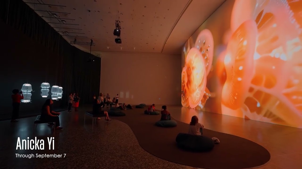 Summer of Immersion at the MFAH