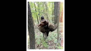Great Day For Spring Turkey #turkeyhunting #outdoors #likeandsubscribe