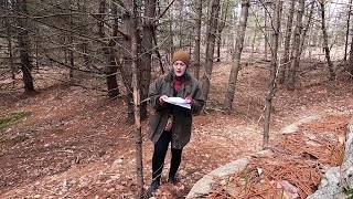 Deor, Wulf Eadwacer And The Wifes Lament A Reading By Translator Gnaomi Siemens