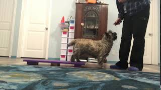 Soleil 2 On 2 Off Pull Back