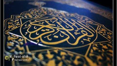 الشيخ محمد أيوب - سورة القلم