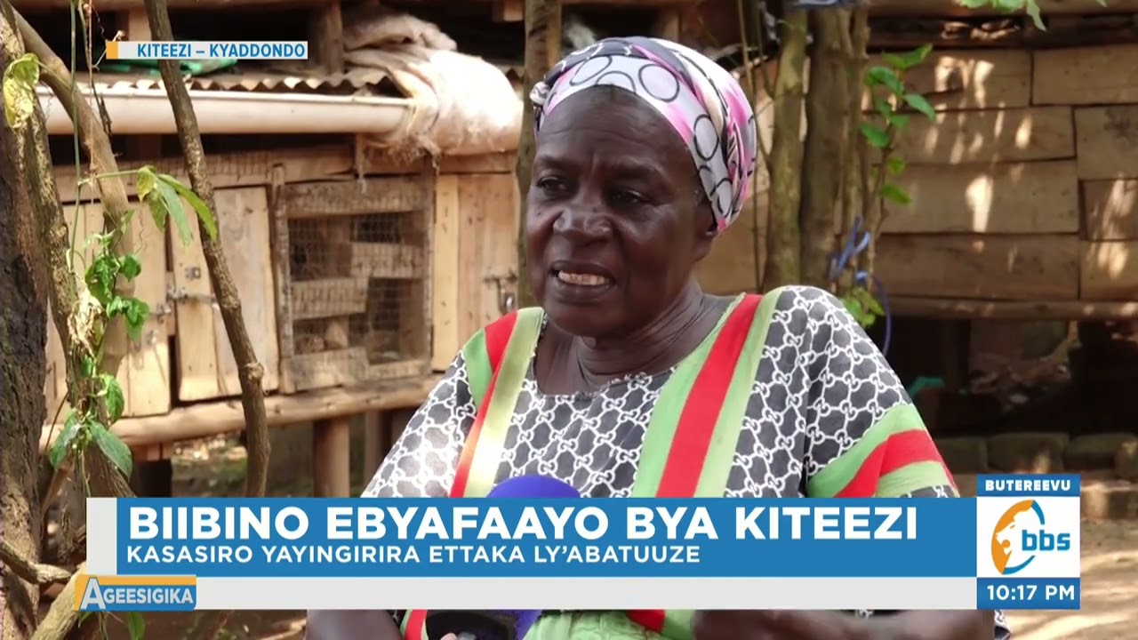 Biibino Ebyafaayo bya Kiteezi, Azze Akyuka Okusinziira ku Mbeera