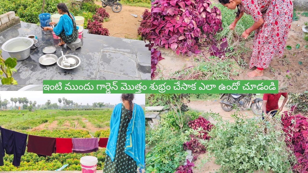Vlog//వర్షం కురిస్తే వాతావరణం ఇలానే అందంగా ఉంటుంది//ఇంటి ముందు గార్డెన్ మొత్తం శుభ్రం చేశా