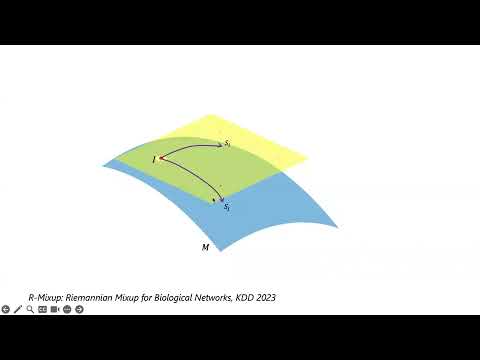 KDD 2023 - R-mixup: Data Augmentation Method