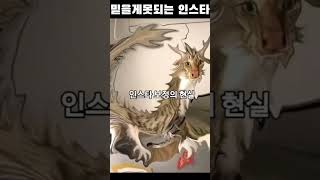 인스타보정현실 #인스타 #셀피 #현실 #웃긴밈