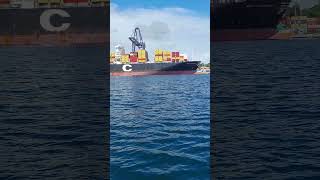 esse faz medo 😱  até de longe 😱