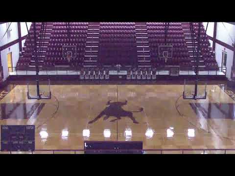 Bridgeport High vs Springtown High School Girls' Varsity Volleyball