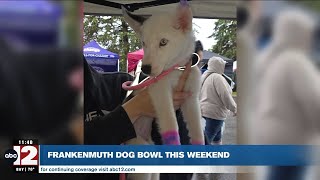 Genesee County shelter animals get boost at Frankenmuth Dog Bowl