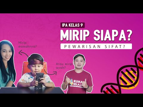 Video: Yang manakah merupakan contoh sifat yang diwarisi?