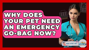 Why Does Your Pet Need An Emergency Go-bag Now? - Ask A Pet Vet