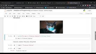 Foundational Python Programming Fundamentals for Data Scientists - Lecture 3