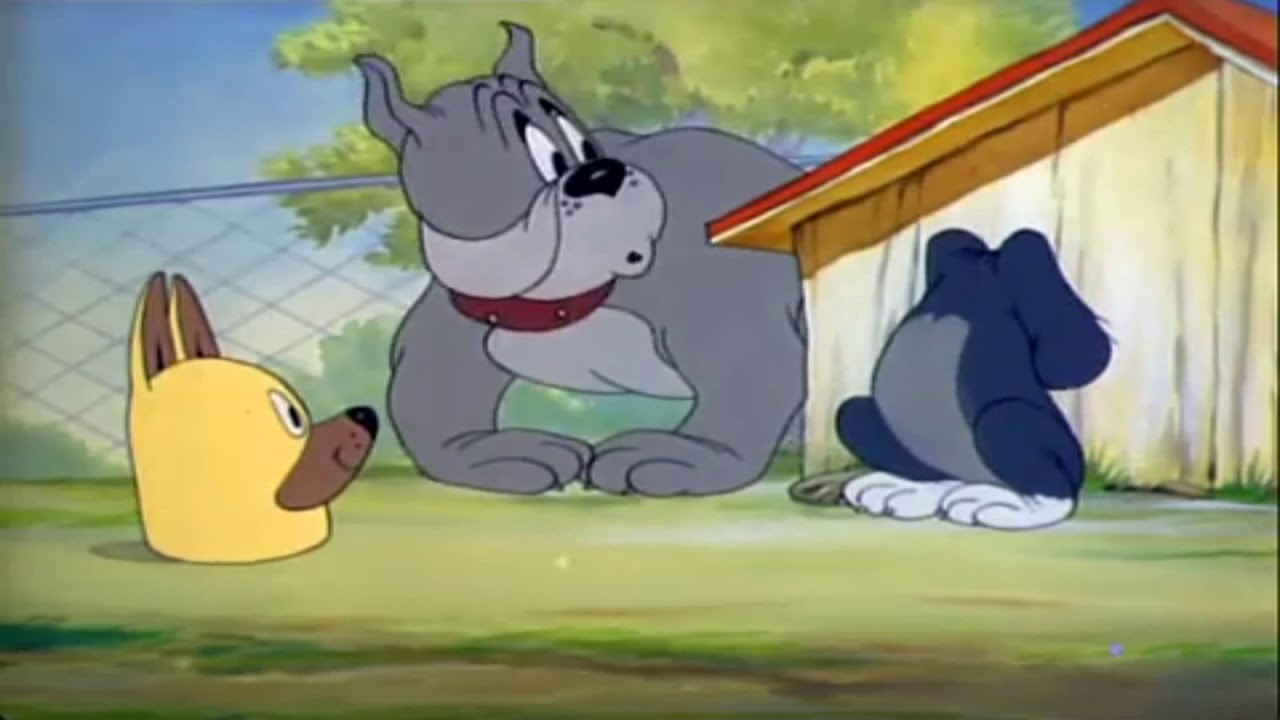 Tom y Jerry - Suplantando A Un Perro (Puttin' on the Dog) - Español - El Perro De Tom Y Jerry