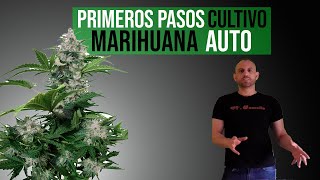 PRIMEROS PASOS CULTIVO MARIHUANA AUTO