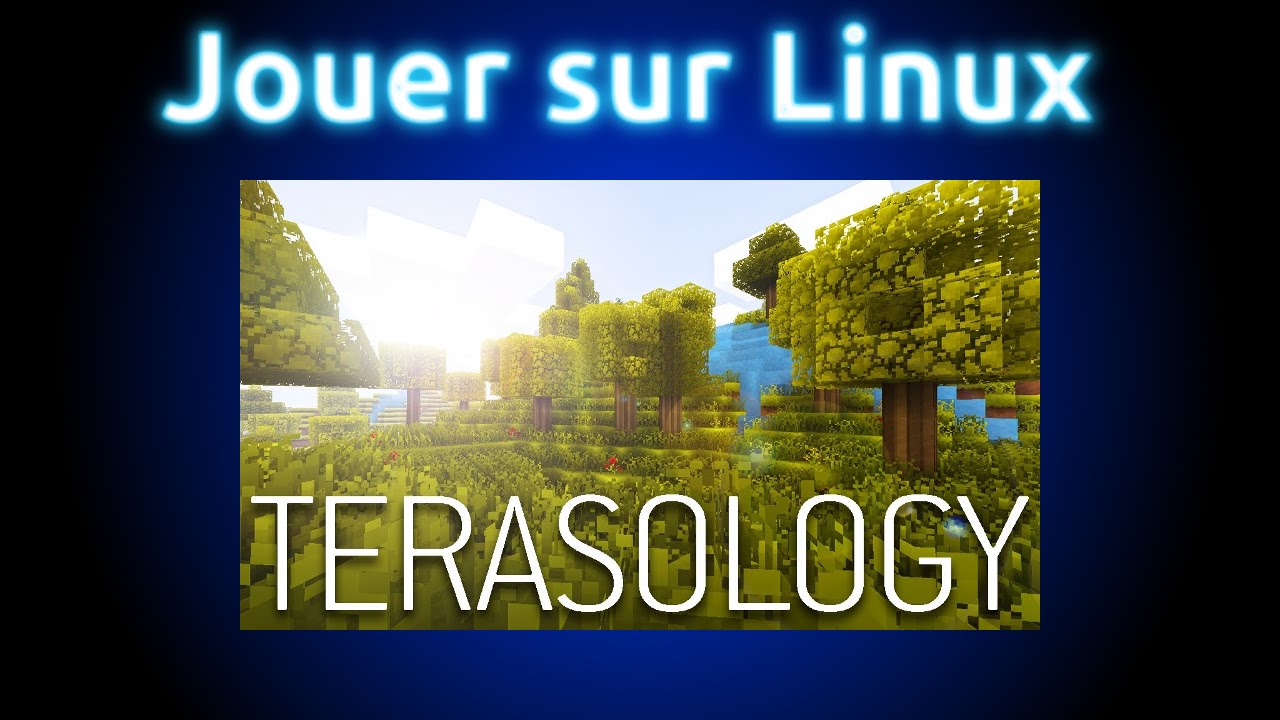 Jouer sur Linux - Terasology