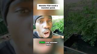 Monster Fish Pond Build 🐟 Epic Transformation Revealed!