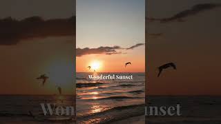 A Wonderful Sunset
The afternoon sunset is accompanied by a short view of amazing birdsong, which will blow your mind. The relaxing music in this video also calms your mind. A Wonderful Sunset