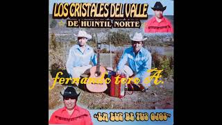 Video thumbnail of "Los Cristales Del Valle De Huintil Norte - Porque Me Dejaste"