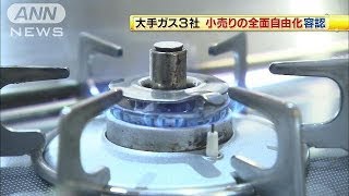 大手ガス3社　小売りの全面自由化を受け入れ(13/11/29)