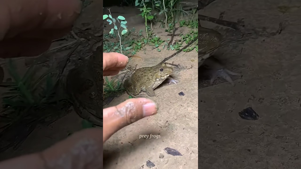 Hai ông cháu thử thách IQ370 đánh đàn sẽ ra sao?🧚🧗🦸🙎🙀#shorts #cute