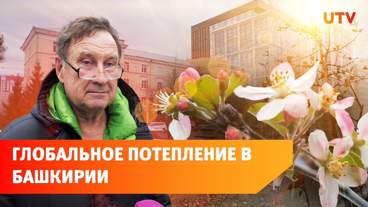В середине ноября в Уфе цветут деревья и зеленеет трава. Это нормально ...