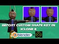 Import Custom Shape key in Iclone 8 | Blender & Iclone 8