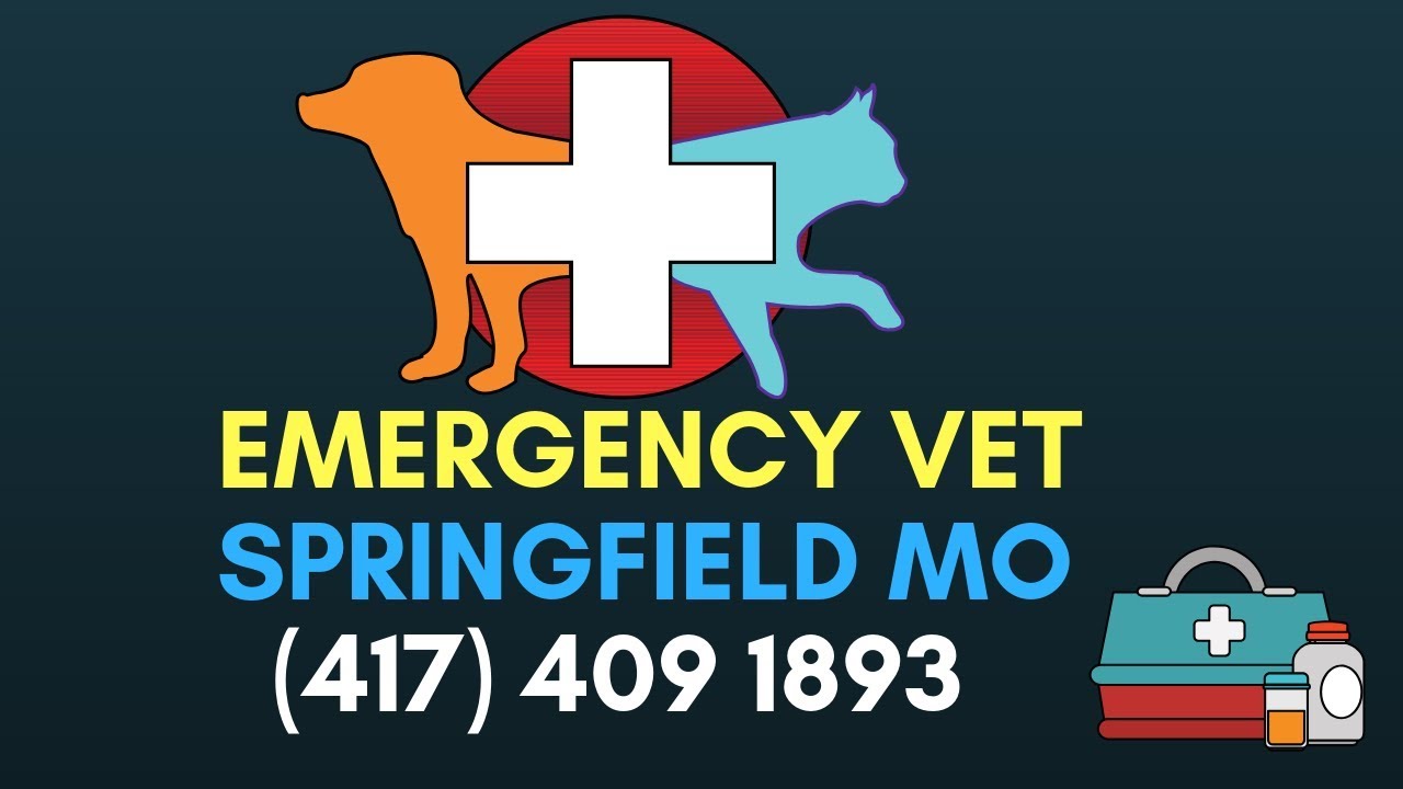 Emergency Veterinary Springfield MO 24 Hour Vet Springfield MO (417
