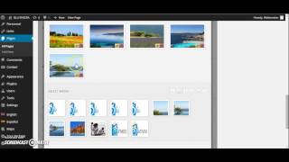 Tour Package Wordpress Theme - How to Change Slider Image