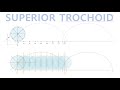 How to draw various  trochoid curves_02,  Superior trochoid, Siemens NX CAD,