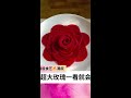 # Vegetable and Fruit Modeling # Plating Skills # Simple Rose # Easy to Learn