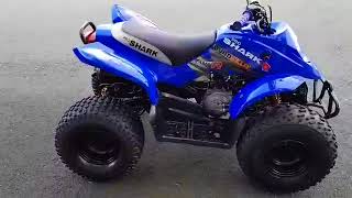 MINT Quadzilla Pro Shark at muckandfun.com