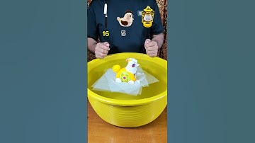 Water Tissue Science Magic | MRRHMN Experiment