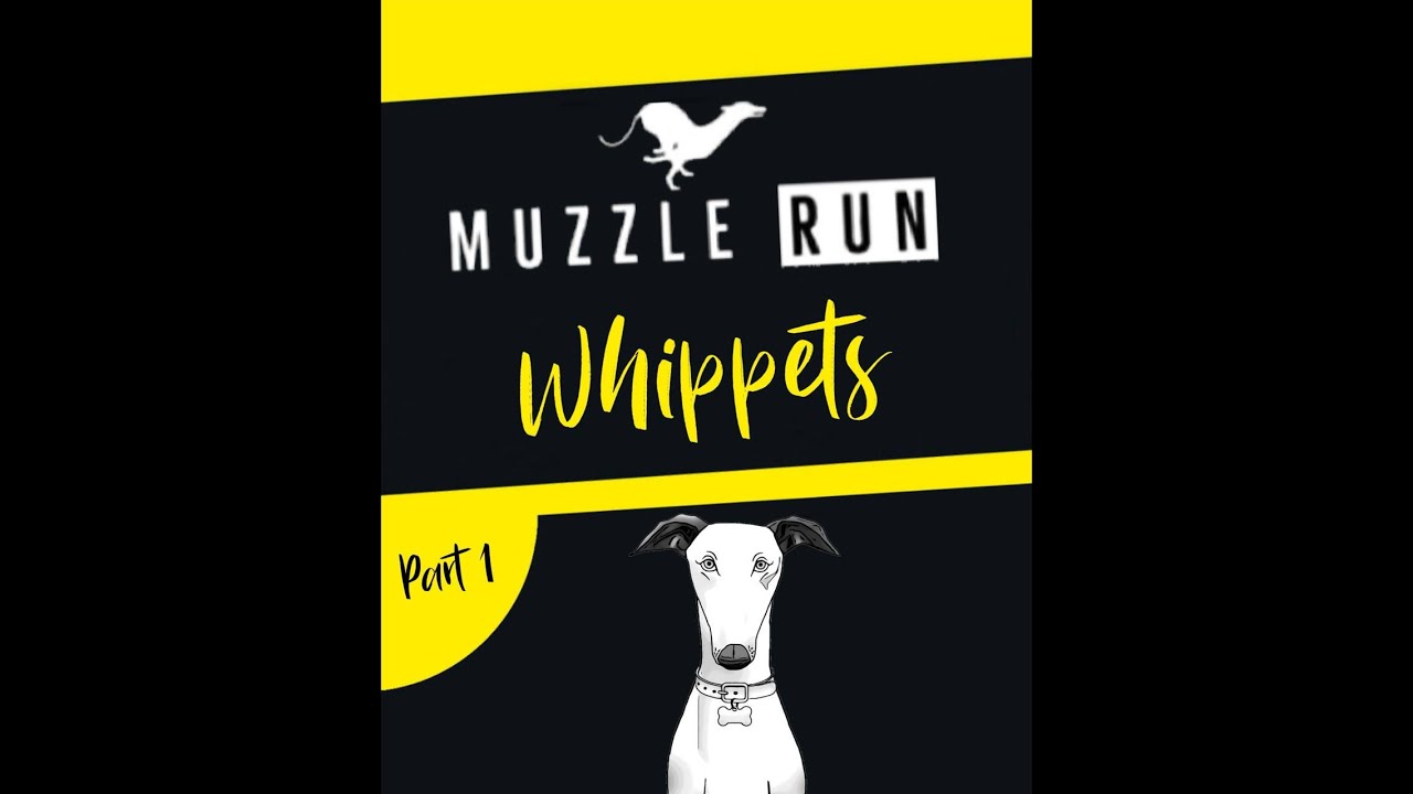 MUZZLE RUN: Whippets (feat. Voxton) - YouTube
