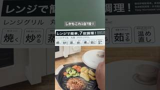ニトリのレンジグリルが凄すぎた